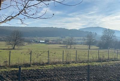 TEREN INTRAVILAN 1080 MP IN RASINARI - 1