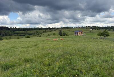 Teren | 13600 mp | Mărișel - 3