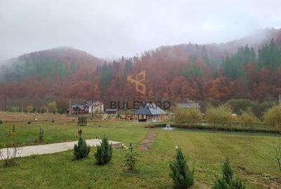 Proprietate cu potențial turistic în zona montană a Țării Lăpușului - 8