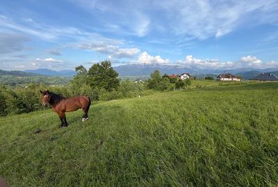 Teren intravilan 1400 mp in satul Pestera, Comuna Moieciu, zona Bran - 18