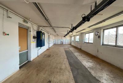 Spațiu industrial, de 400.00 mp, în Nufărul