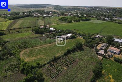 Teren - Ionășeni | BOTOȘANI | 3.285mp - 6
