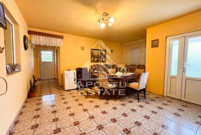 Casa individuala, 4 camere, 2600mp teren, Barcea Mare in Hunedoara - 9