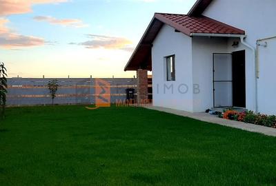 Case noi tip parter in Vernesti | Byzantium Village - 11