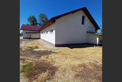 Spațiu comercial de inchiriat, la drum principal, localitatea Daia - 12