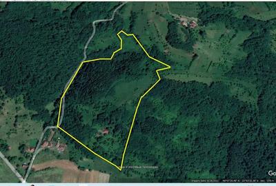 Domeniu de 7 ha in Apuseni - Criscior, Hunedoara - 6
