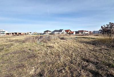 Teren intravilan de vanzare in Sanmartin - 1