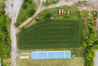 FILM! 4.600mp,aria industriala,utilitati aproape:hala,depozit,service auto - 7