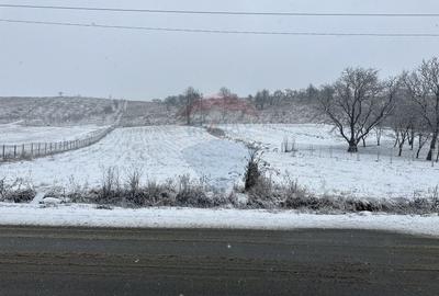 Teren 8,300mp Negresti (Dobreni) / Drumul DEALUL OTEL - 1
