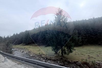 Arieșeni–Strada Fața Cristesei -Teren 4.331 mp cu Peisaj de Poveste - 13