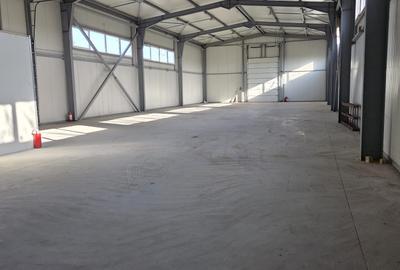 Hala Industriala  - Pantelimon - Cernica , teren 1200 p , 480 depozit , 45 birou - 3