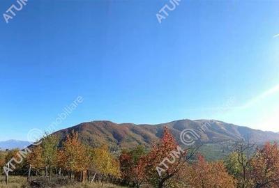 Teren intravilan 2039 mp situat in Cisnadioara din Sibiu - 4