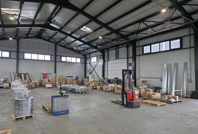 Vanzare depozit/hala/spatiu industrial Theodor Pallady - Drumul Intre Tarlale - - 10