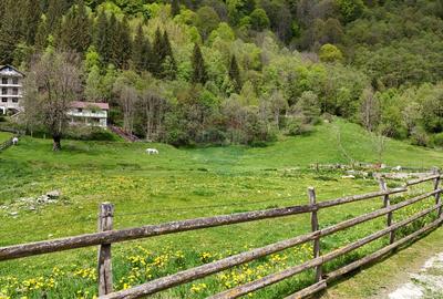 Intravilan | 10.000 mp| Sătic-Rucăr | Acces facil | Potențial excelent - 3