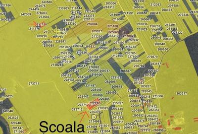 DE VANZARE Teren intravilan 600mp Drumul Piscul Mosului SISESTI - 4