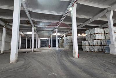 DE INCHIRIAT Spațiu industrial de 3000 mp în Buftea - 12