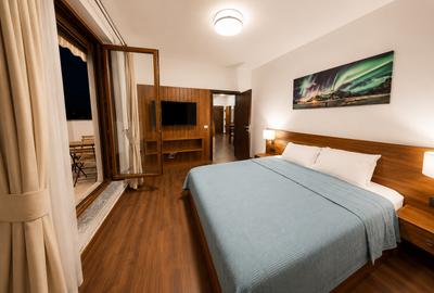 Apartament 3 camere mobilat// Domenii - 12