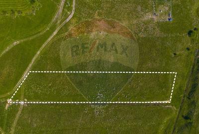 Teren 1ha, extravilan Rasnov / Agricultură sau fermă/ COMISION 0% - 5