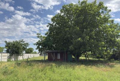 Teren intravilan 1.500 mp în Tunari – dublă deschidere, ideal pentru dezvoltare - 2