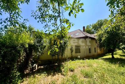 Spatiu comercial de vanzare in cartierul Grigorescu - 1