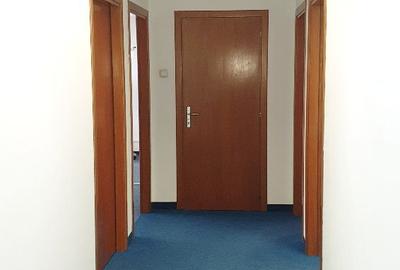 Spatiu birouri- Ion Mihalache- Ciuperca-Expozitiei - 6