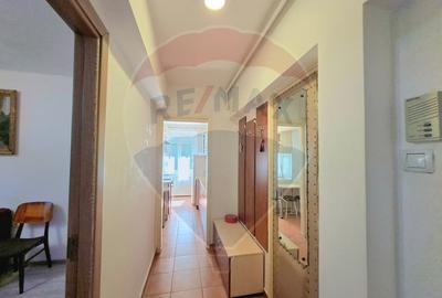 Apartament 2 camere decomandat, centrala gaz, de închiriat Podgoria - 11