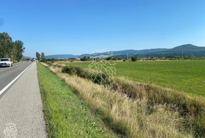 Teren agricol extravilan de 13400 mp, în Podirei