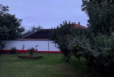 Proprietar vand locuință si teren - 4