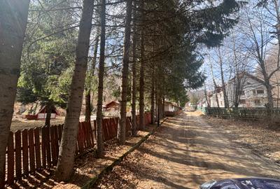 VANZARE PADURE MANECIU -CHEIA,  40HA - 1