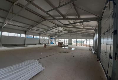 Hale cu suprafete intre 100-560mp in zona Drumul Intre Tarlale - 3