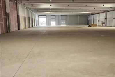 Spatiu Industrial - 9500 mp - Logistica - Productie - Depozitare - Distributie - 7