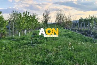 Casa pentru 2 familii, 7 Camere, 2 Garaje, 1500MP Teren - 31