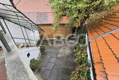 Casa individuala de vanzare curte proprie pivnita Orasul de Jos Sibiu - 28