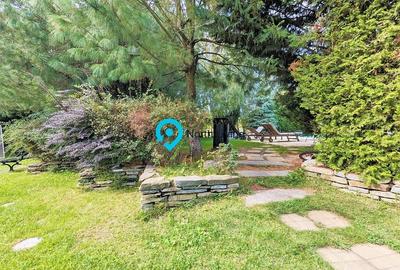 3 camere Boutique | Piscina | Iancu Nicolae - 17