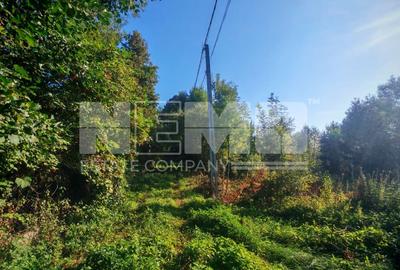 TEREN INTRAVILAN | FRATĂUȚII NOI | 1.1 HA - 14