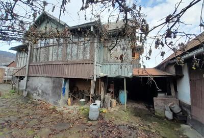 Casa traditionala cu anexe si gradina,Zona Nasaud - 9