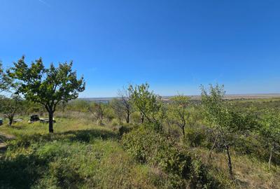 Teren 8.472 mp – Ghioroc Valea Domneasca - 3