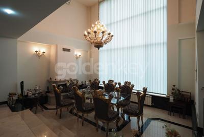 Vilă spatioasa cu 8 camere | 650mpc | langa Parcul Herastrau - 2