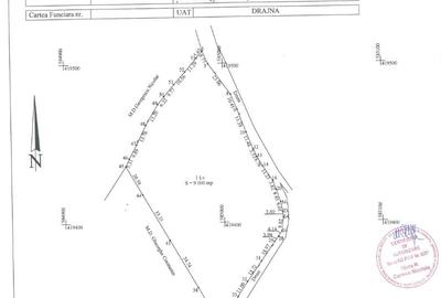 Teren intravilan – 9.000 mp, sat Ogretin, comuna Drajna, jud. Prahova - 5