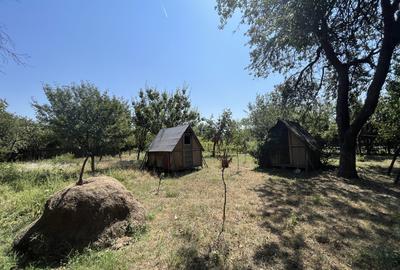 Popas La Doi Brazi - magazine, bar, terasă, casă boierească, grădină și piscină - 18
