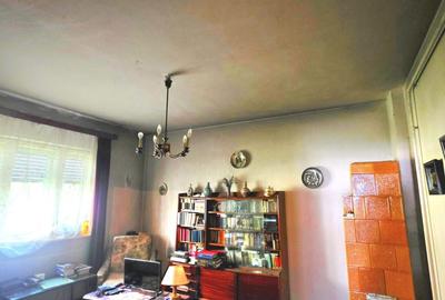 Apartament in vila cu 240 mp curte Aviatorilor - 4