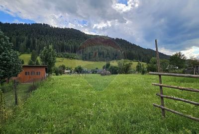 Casa 225 mp, teren intravilan 4822 mp C. Moldovenesc, Suceava - 27