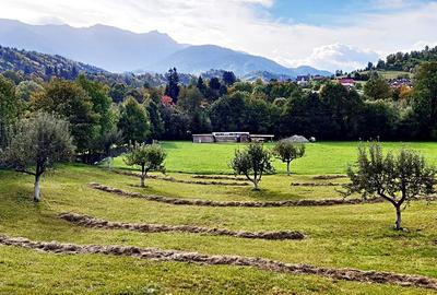 Teren superb de 16240mp, parcelabil, in Bran la intrare in Moeciu de Jos - 10