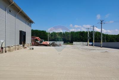 Depozit frigorific de 216 mp cu 4 celule, Șcheia, Suceava - 6