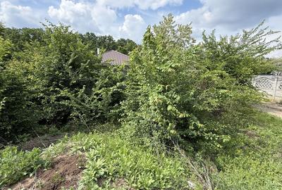 Teren intravilan 498,02 mp langa pădure , strada privata Corbeanca - 8
