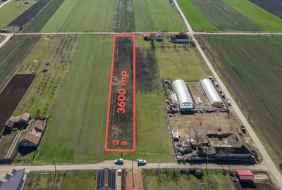 Teren 3.600 mp în Curtici, 2 fronturi stradale – La doar 20 km de Arad - 1