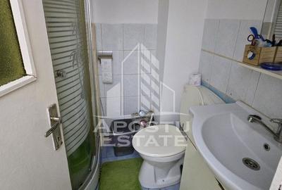 Garsoniera Micalaca Orizont - 7