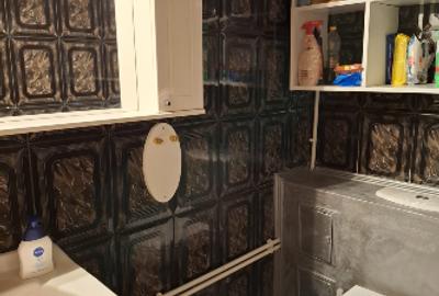 Apartament în vila, 3 camere, zona Universitate-Scoica - 14