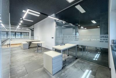 Complex industrial modern cu spații de birouri | Timișoara | România - 11
