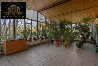 Brancoveanu - Casa Individuala 545mp Teren 917mp - 16